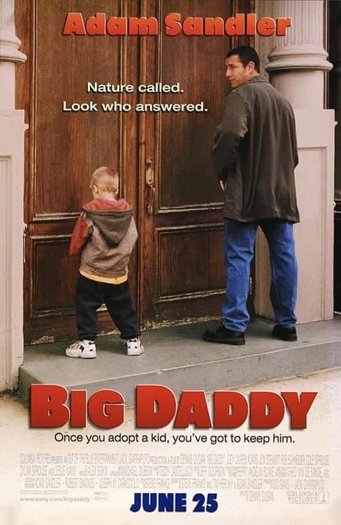 Big Daddy film posteri
